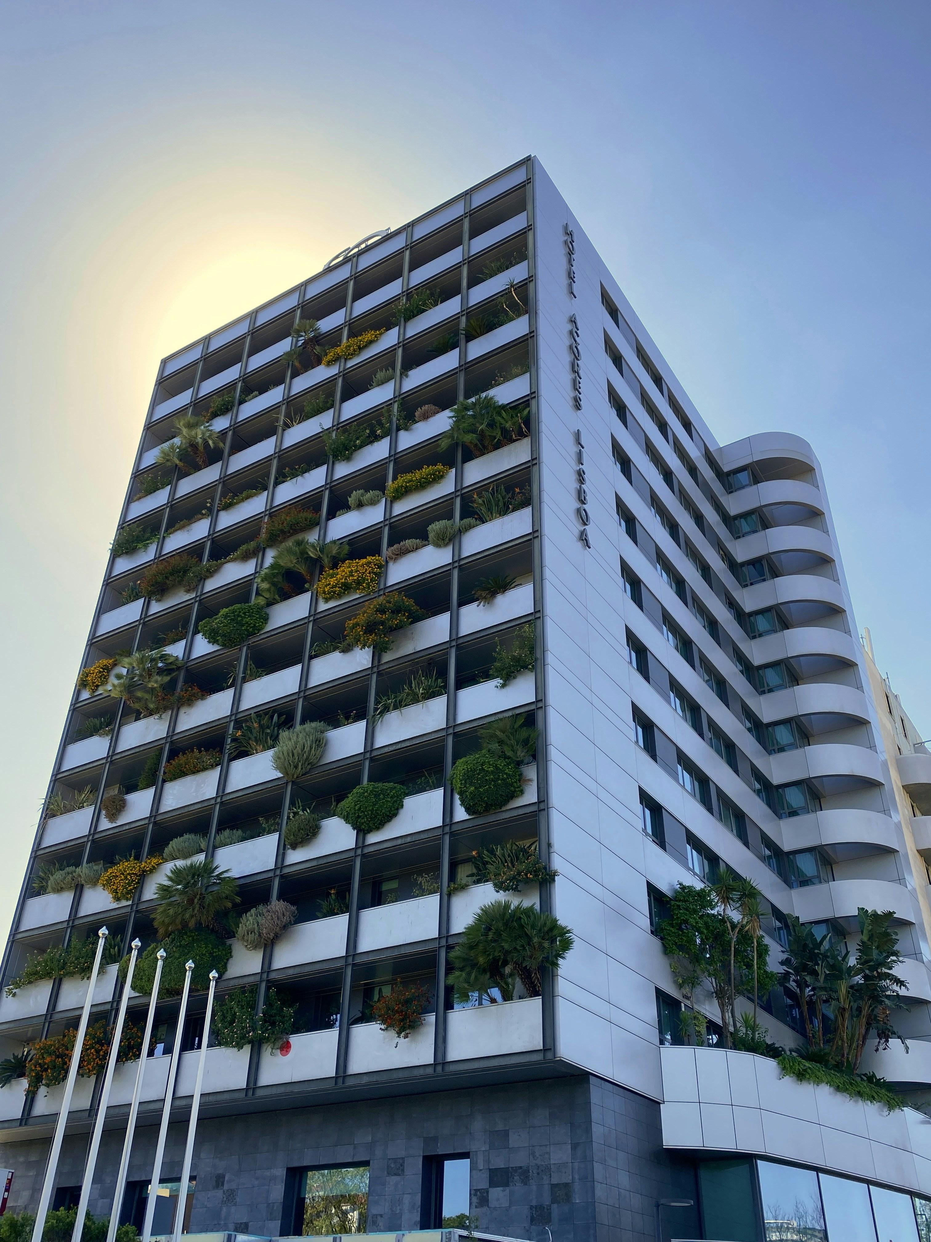 ساختمان سبز؛ مزایا، چالشها و راهکارهای اجرایی برای سازههای پایدار